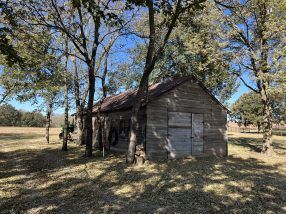 Old wooden barn in a field, trees surrounding it, weathered and rustic, under a blue sky.