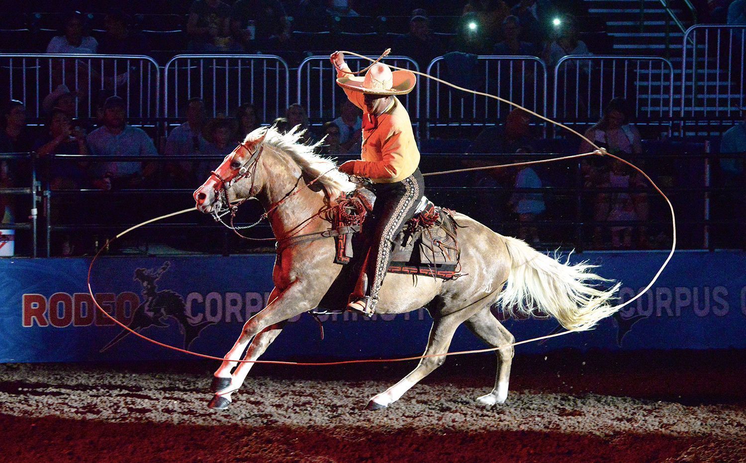 A cowboy is riding a horse and throwing a lasso.
