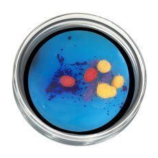 A round, silver container filled with blue face paint dotted with red, yellow, and purple paint.