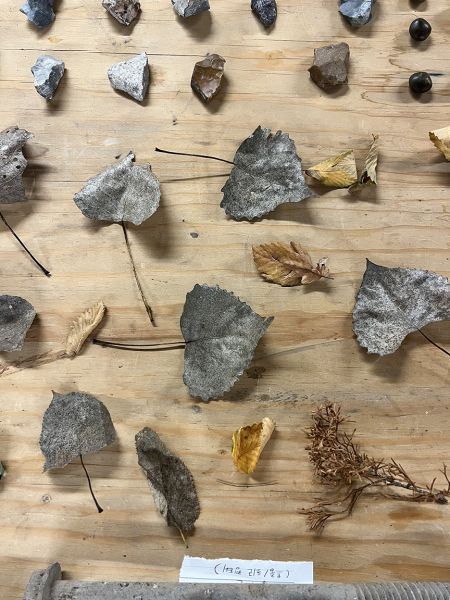 Dried leaves and stones arranged on a wooden board.