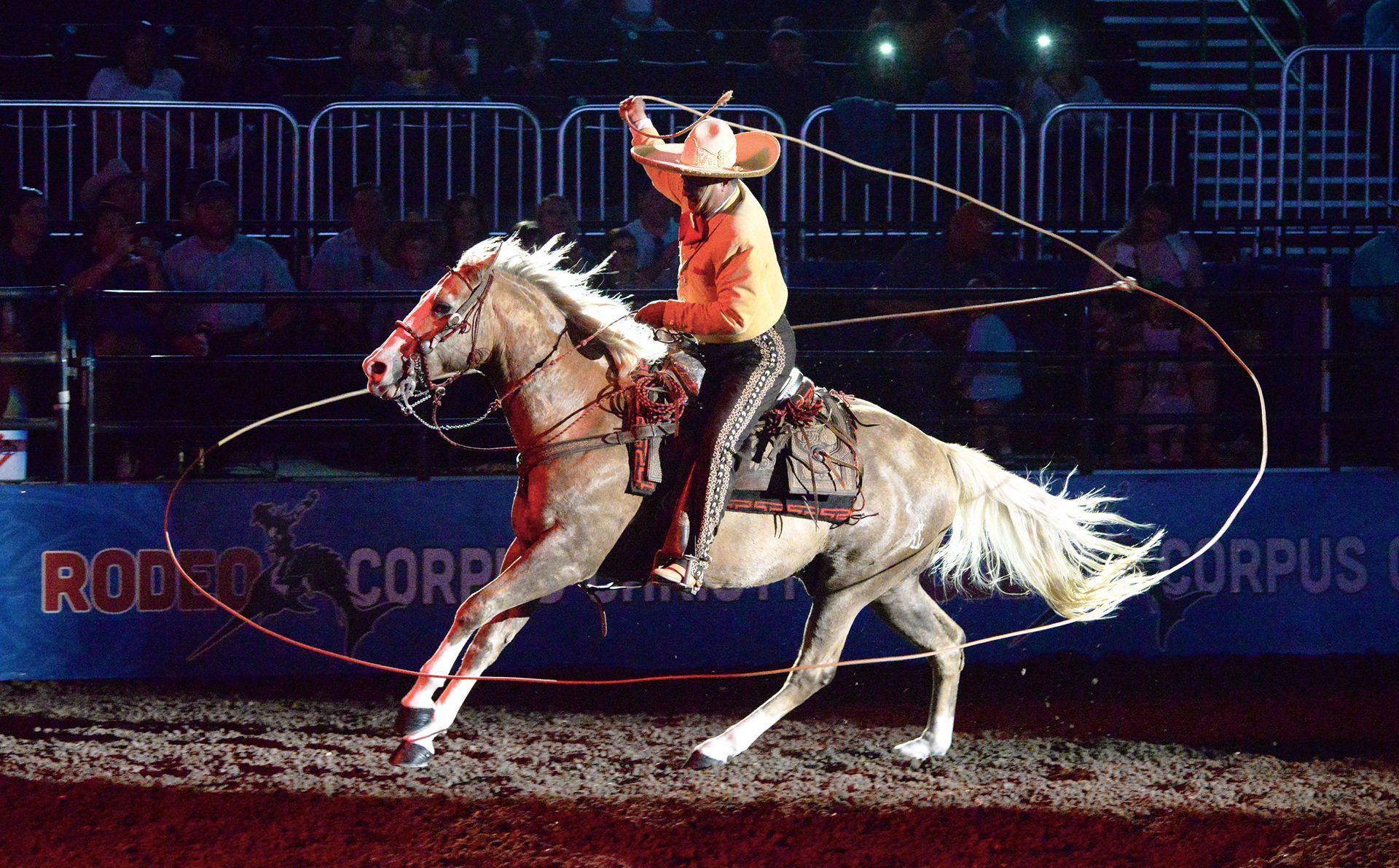 Rodeo performer on horseback twirling a rope; arena setting with crowd in background.