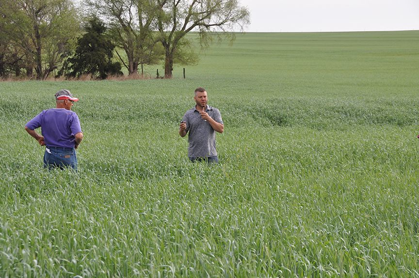 Two men are standing in a field of green grass.