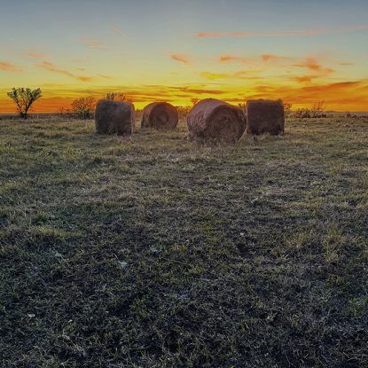 Hay bales in a field at sunset with a colorful sky.