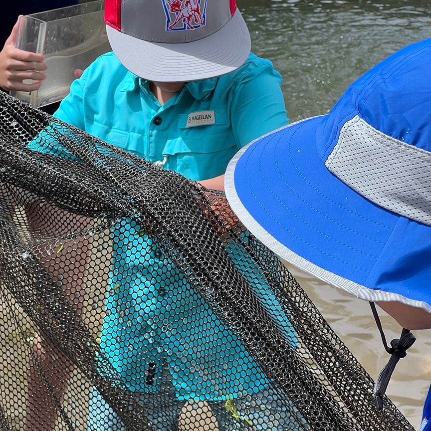 Children using a net, searching for aquatic life in a shallow body of water.