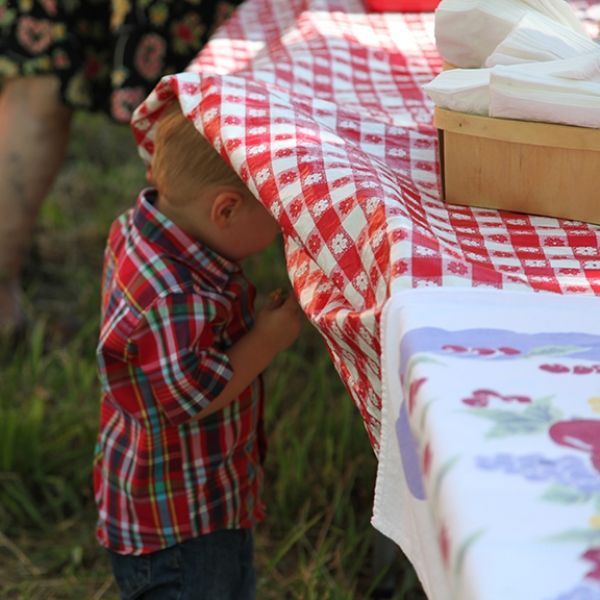 A little boy in a plaid shirt is looking under a checkered table cloth