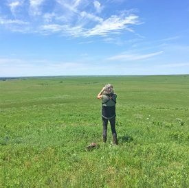 Person in field facing away, holding binoculars, looking at the distant horizon on a sunny day.