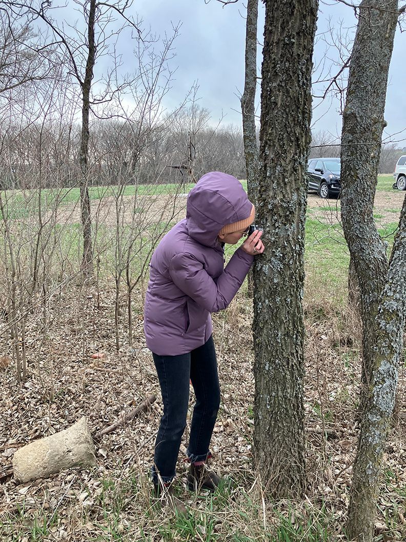Person in purple coat examines a tree in a field, possibly outdoors.