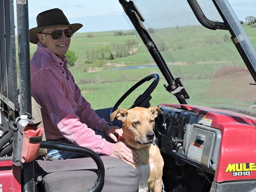 A man and a dog are sitting in a mule vehicle