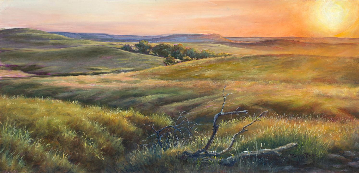 Rolling green hills at sunset with tall grass and a fallen log.