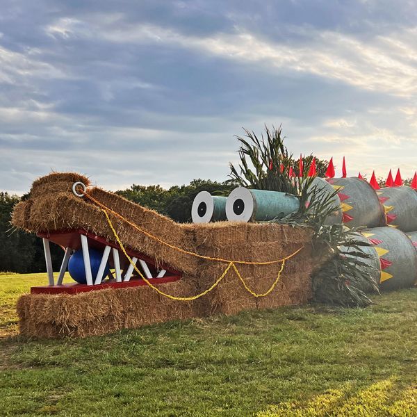 Hay bale crocodile sculpture in a field, under a cloudy sky.