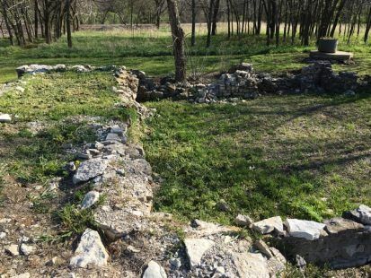 Stone foundations of a structure in a grassy area, with a tree in the center and trees in the background.
