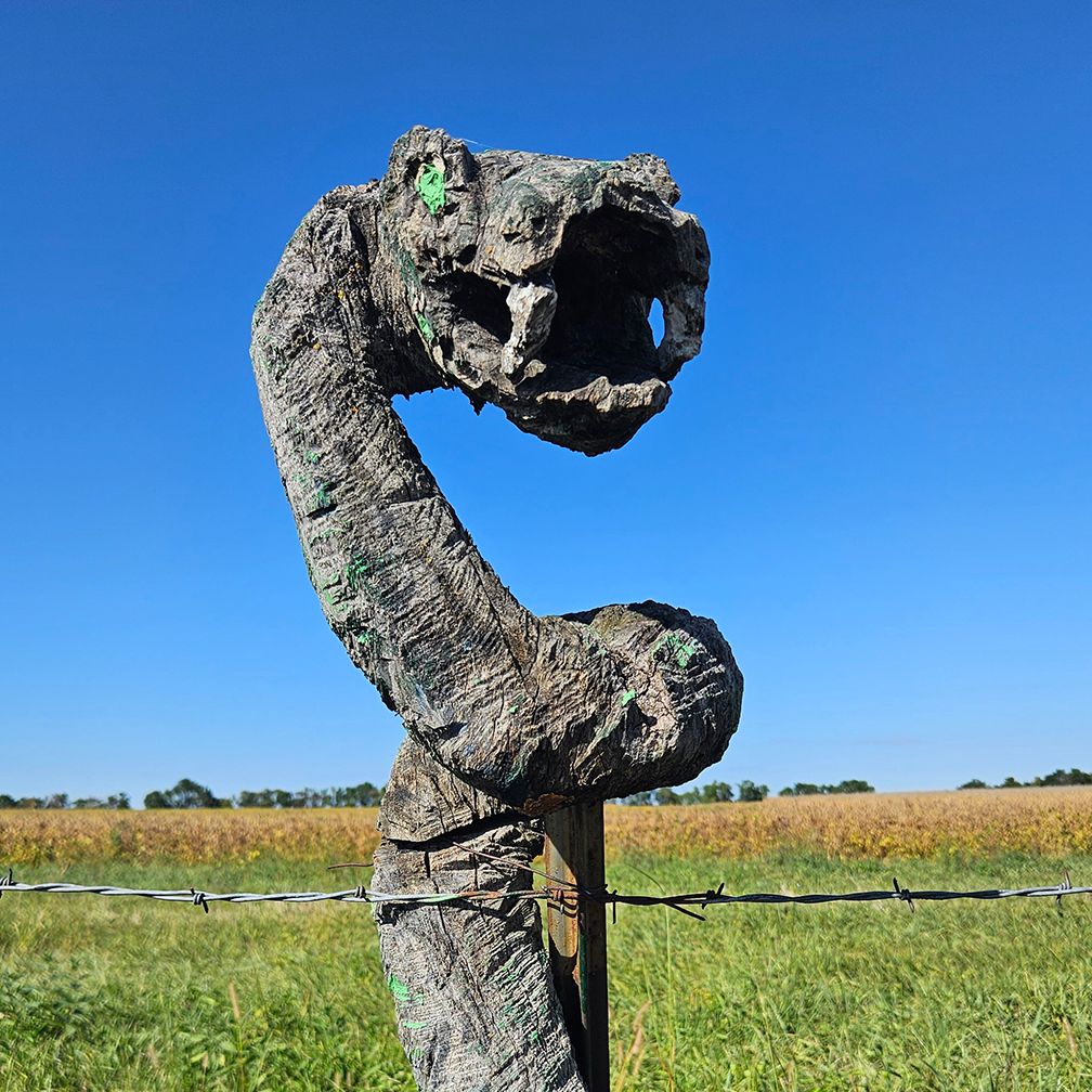 Sculpture of a snake's head and neck on a fence post. Gray, weathered wood. Blue sky, field in background.