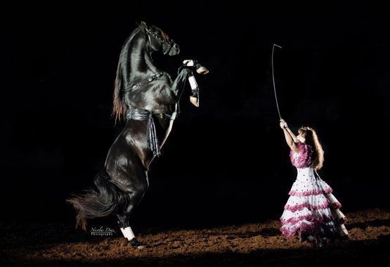 A black horse rears, facing a girl in a pink dress, who holds a whip. Dark background.