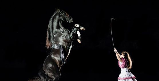 Woman in dress with whip, directing a rearing black horse in a dark setting.