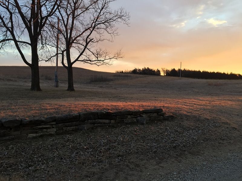 A sunset over a field with trees in the foreground
