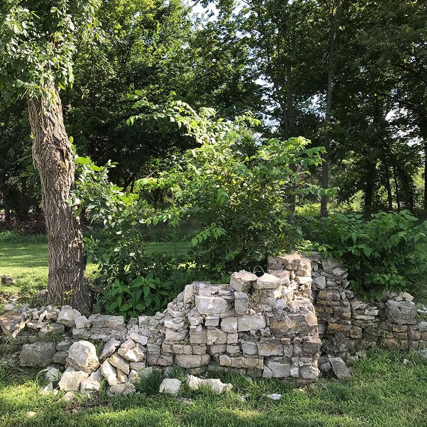 Stone ruins partially covered by greenery, in a grassy area with trees in the background.