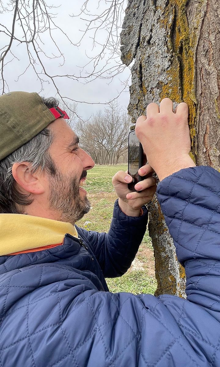 Man smiles, taking a photo of a tree trunk with a smartphone; wearing a blue jacket, green cap outdoors.