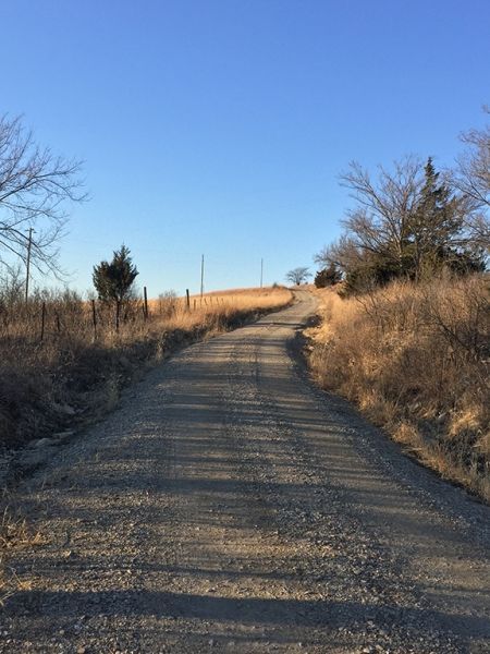 A dirt road going up a hill in the middle of a field.