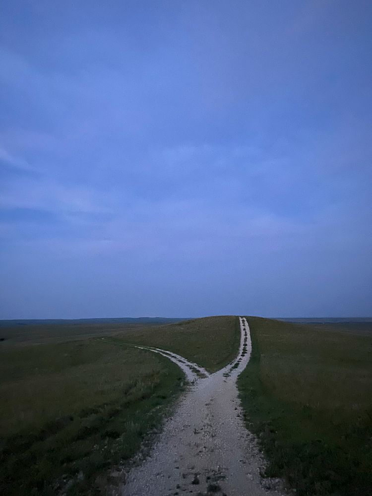 A dirt road going through a grassy field with a blue sky in the background.