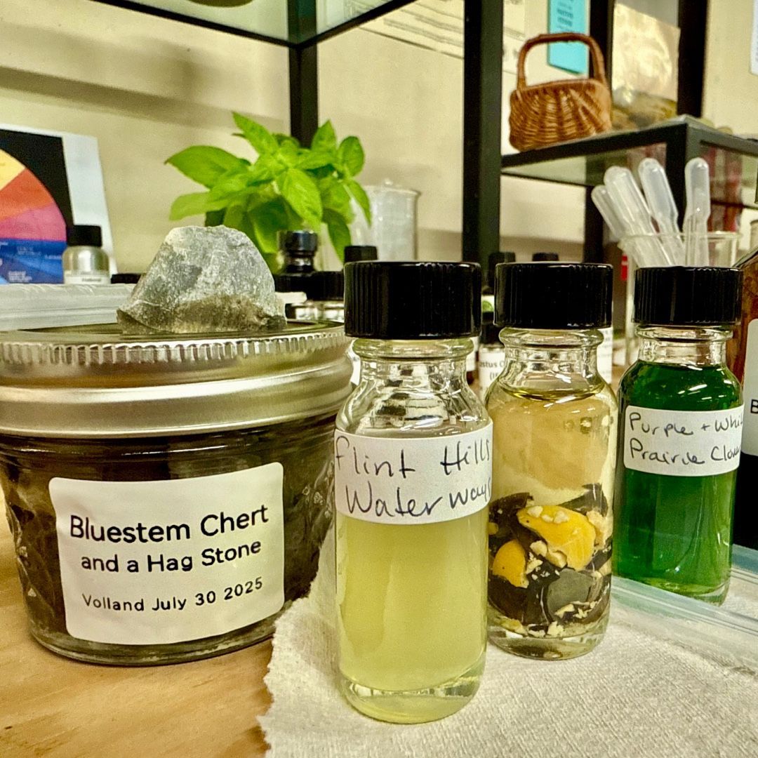 Jar of Bluestem Chert & a Hag Stone, bottles of liquids, basil plant. A workspace setting.