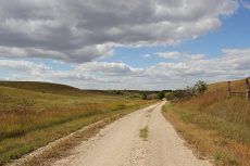 A dirt road going through a grassy field on a cloudy day.