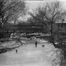 A person stands on a frozen river with two dogs. A bridge and bare trees are in the background.
