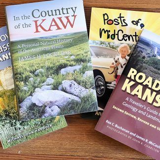 Four books on a wooden surface: