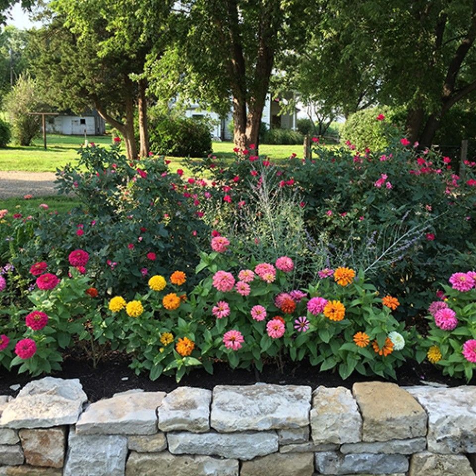 A stone wall surrounded by flowers in a garden