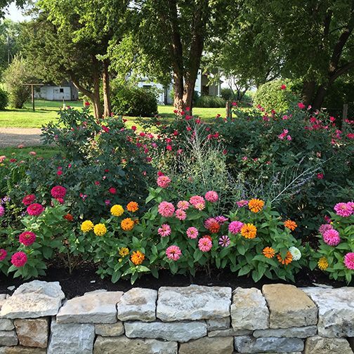 A stone wall surrounded by flowers in a garden.