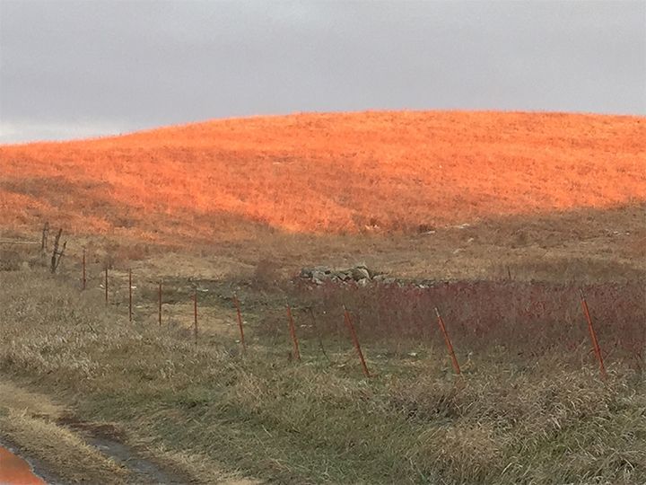 A fenced in field with a red hill in the background.