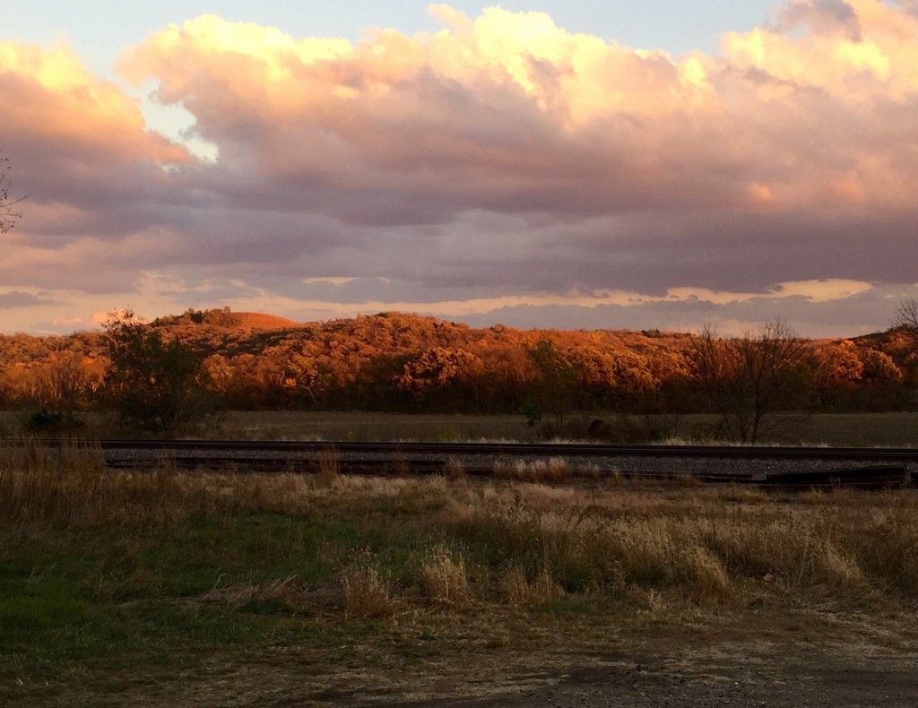 A train is going down the tracks in a field at sunset.