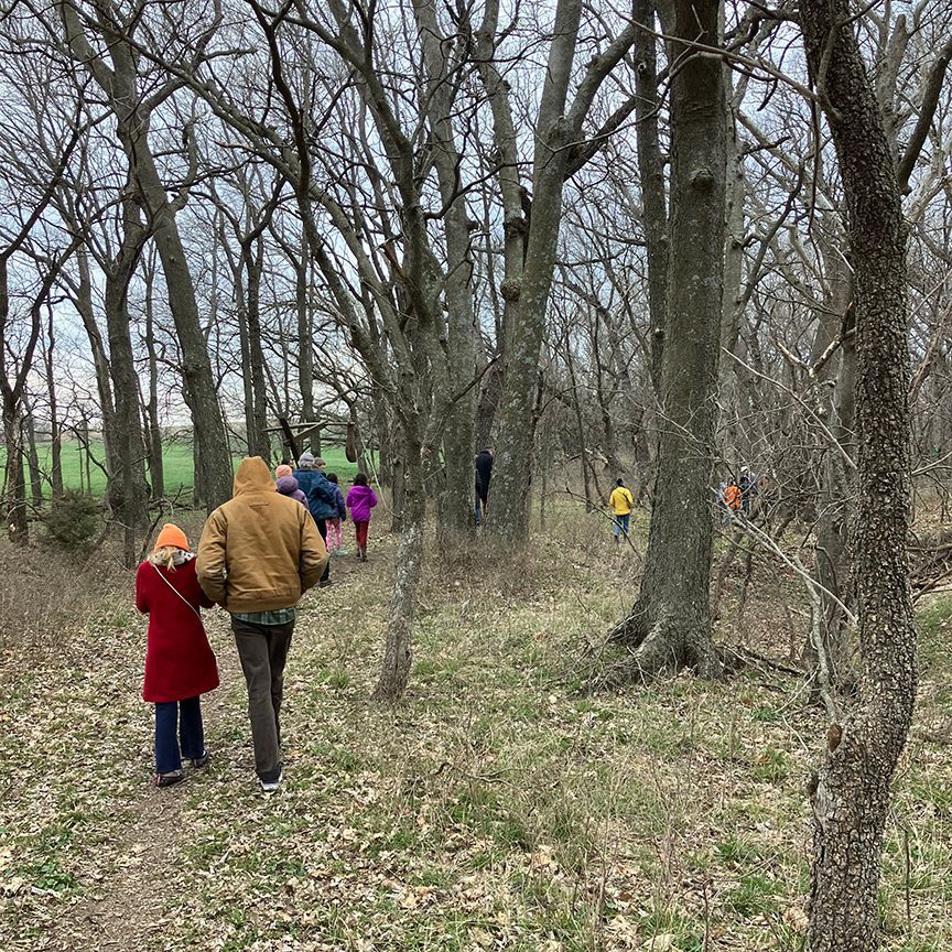 People hike on a trail through a leafless forest. The group wears various colorful jackets.
