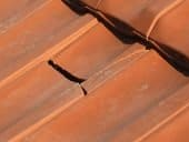 tuile cassée créant une fuite de toiture au havre