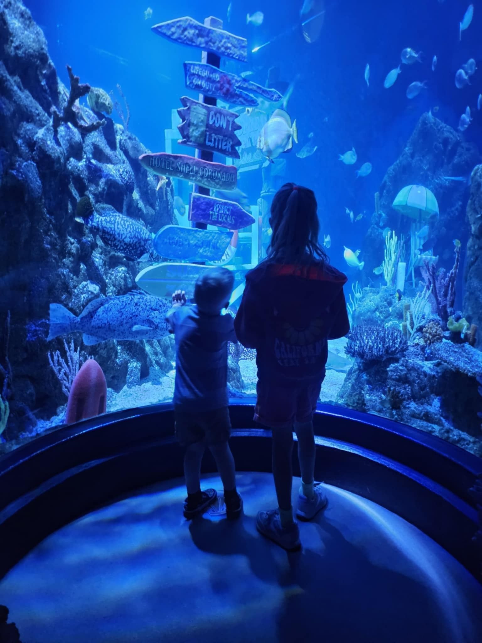 Two children are looking at fish in an aquarium.