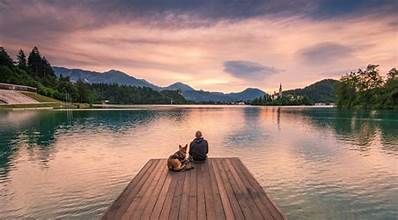 A man and a dog are sitting on a dock overlooking a lake.