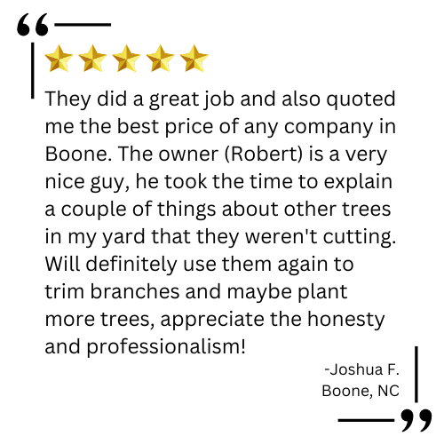 stump grinding boone nc

