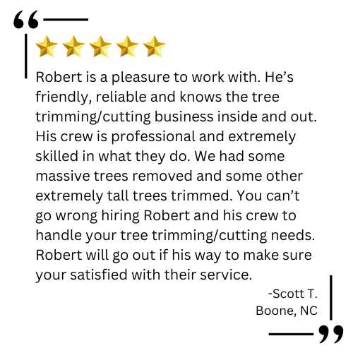 tree trimming near me

