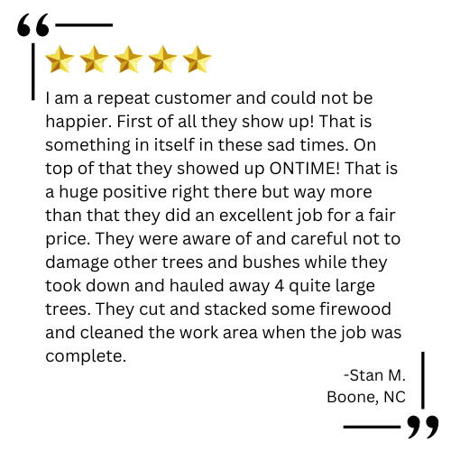 tree trimming near me

