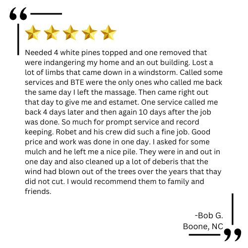 tree removal boone nc

