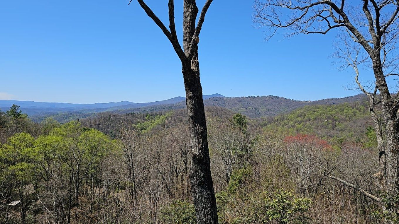stump grinding boone nc
