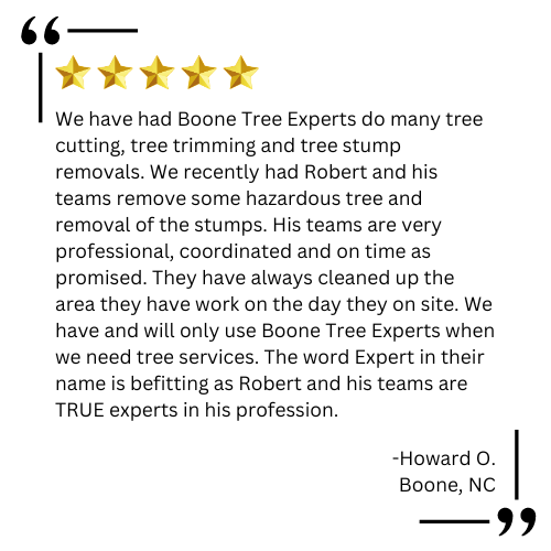 arborist boone nc

