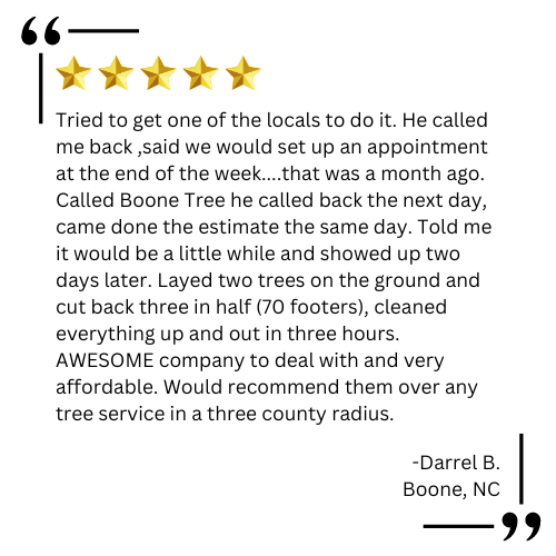arborist boone nc

