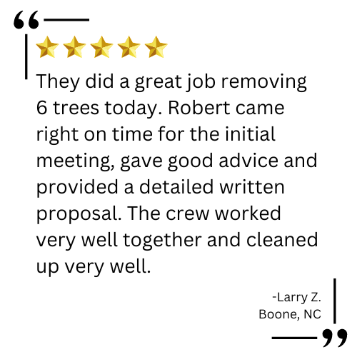 tree services near me

