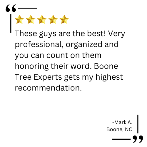 tree services near me

