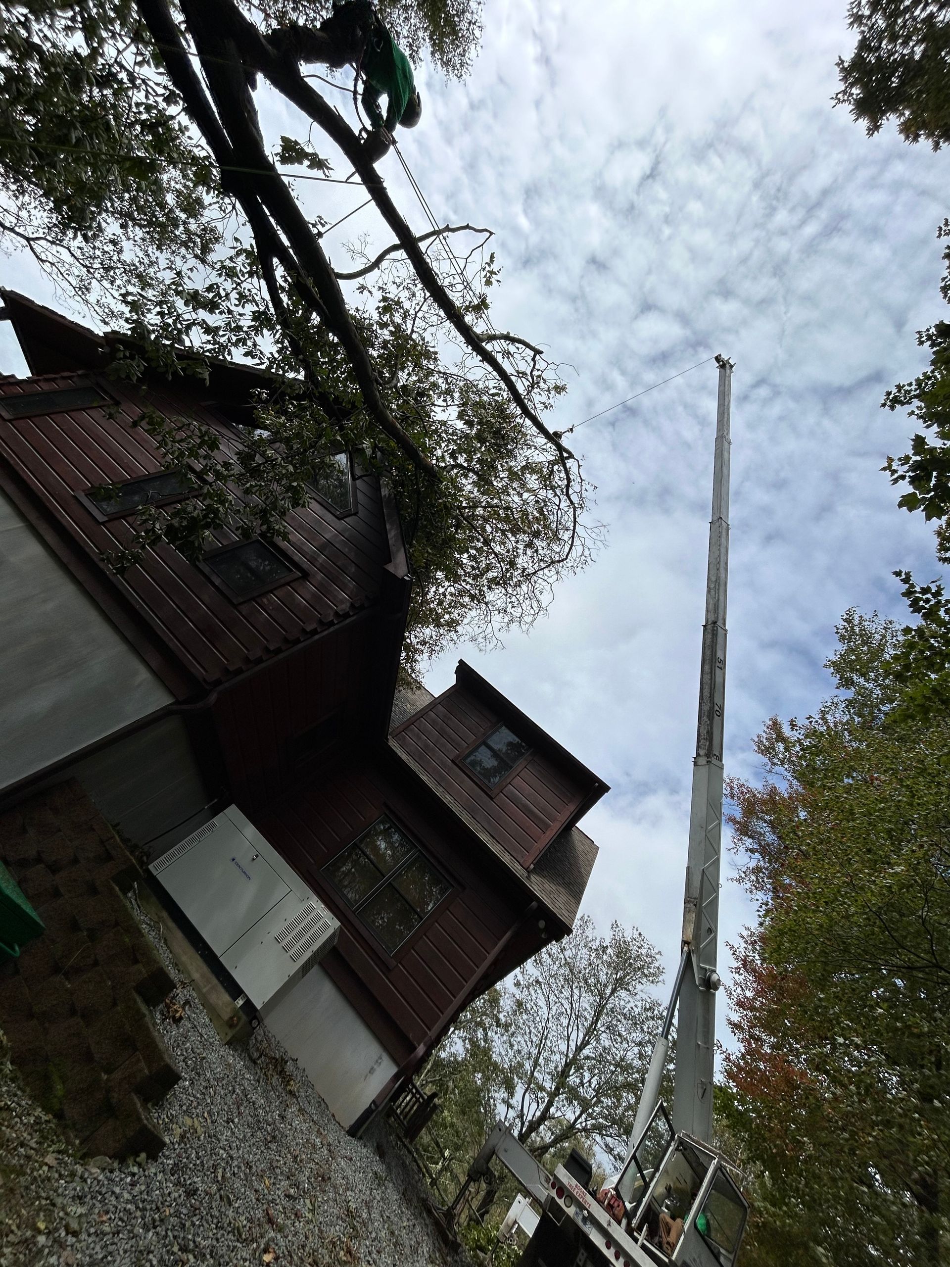 Get expert crane tree removal services in Boone, NC with Boone Tree Experts