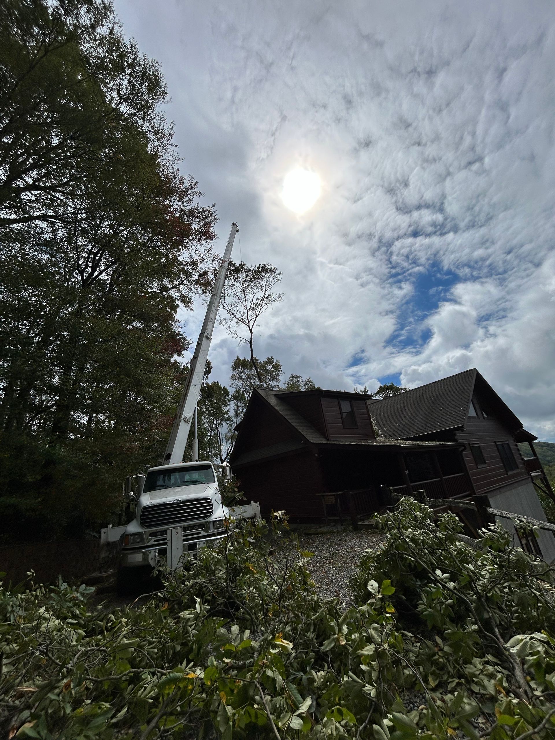Get expert crane tree removal services in Boone, NC with Boone Tree Experts