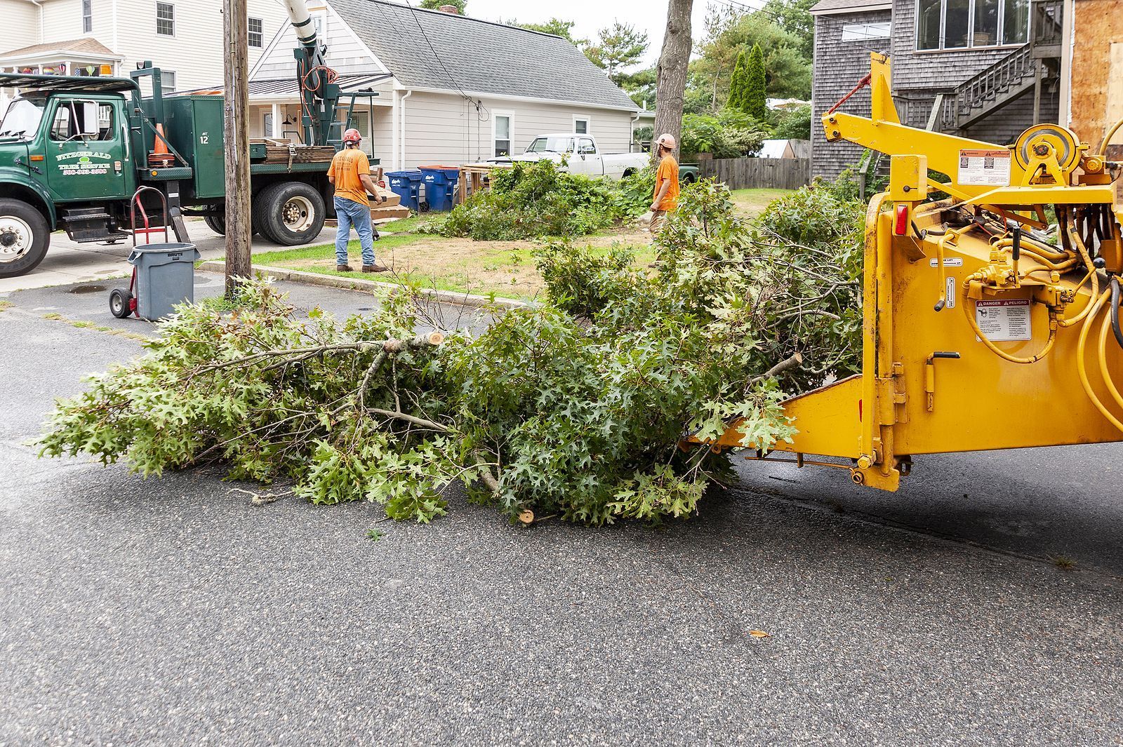 Fallen Tree Being Picked Up