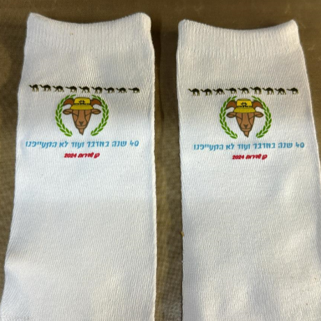 גרביים ממותגות