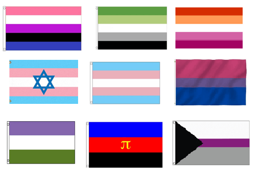דגלים שונים