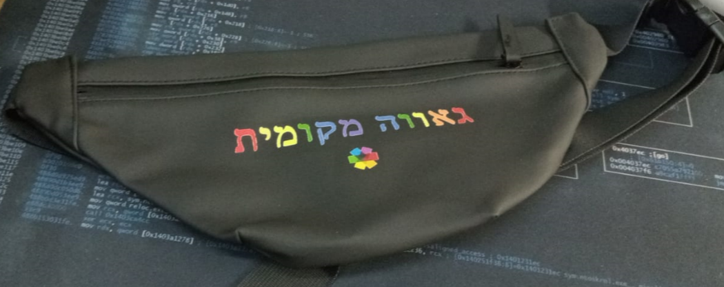 פאוצ'